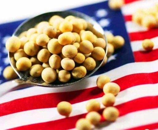 国产大豆最新价格,科技引领价值飞跃,体验未来大豆时代