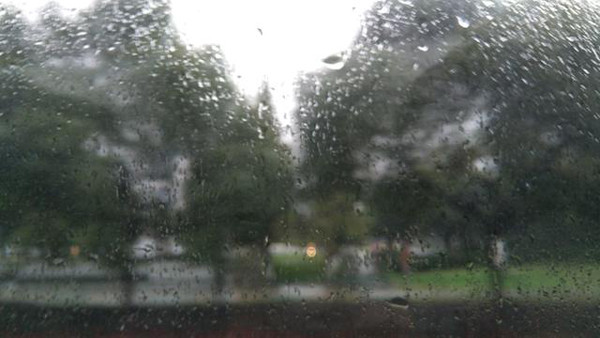 精分最新突破,小巷中的神秘乐园探索