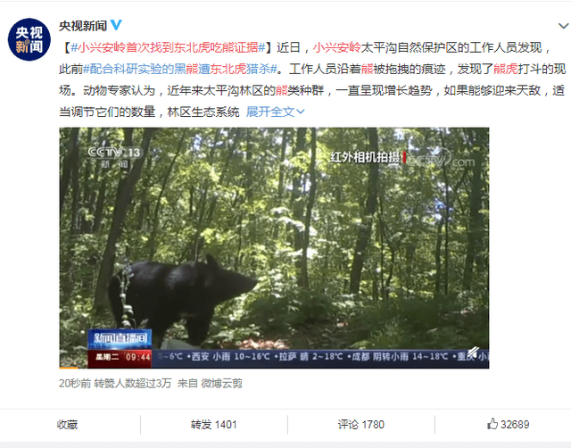 最新IE11带你轻松探索自然美景,寻找内心平和之旅