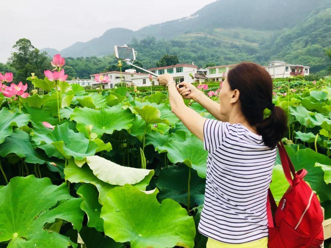 宜宾未来之城蓝图揭晓，城区最新规划发布🌆