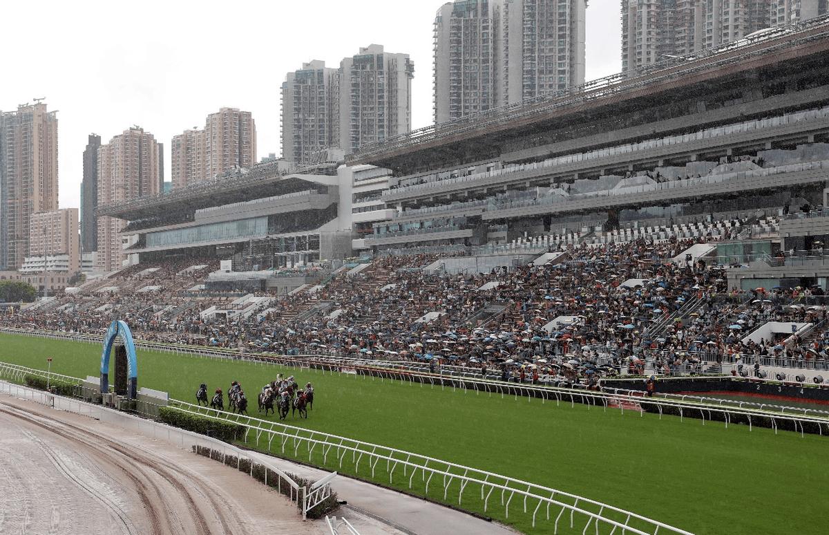 2024年香港最准的资料,全面说明解析_黄金版12.208-5