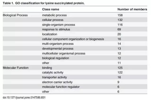 2024新奥资料免费精准39,精细化实施分析_先锋版FWB48.318