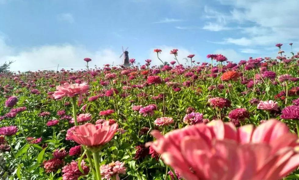 敦化最新新闻,拥抱自然,心灵宁静之旅启程