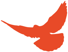 最新抗癌药品,最新抗癌药品,希望之光照亮生命之路