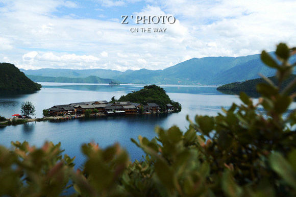 最新教育理论探索与心灵平和的自然之旅