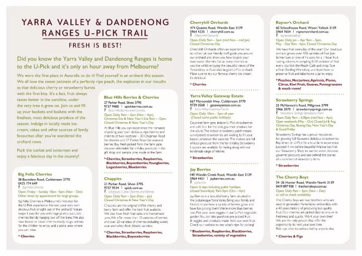 新澳好彩免费资料查询水果之家,标准执行具体评价_复古版HMG81.607