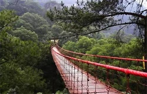 歌乐山最新规划,一段温馨的日常故事启幕