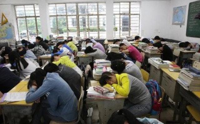 高考路上的特色小憩之店，隐藏在巷弄间的秘密与最新资讯解读