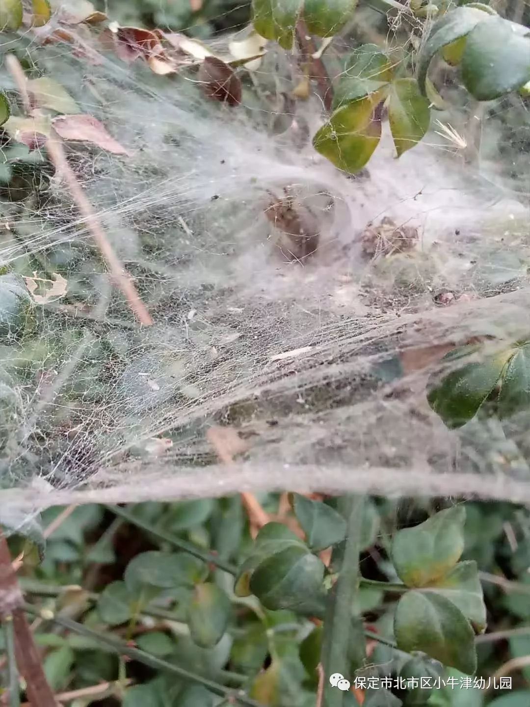 最新白芨贴吧,变化中的学习,自信与成就感的源泉