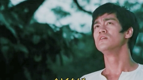 谭凯最新电影,自然美景探险之旅,探寻内心平静之道