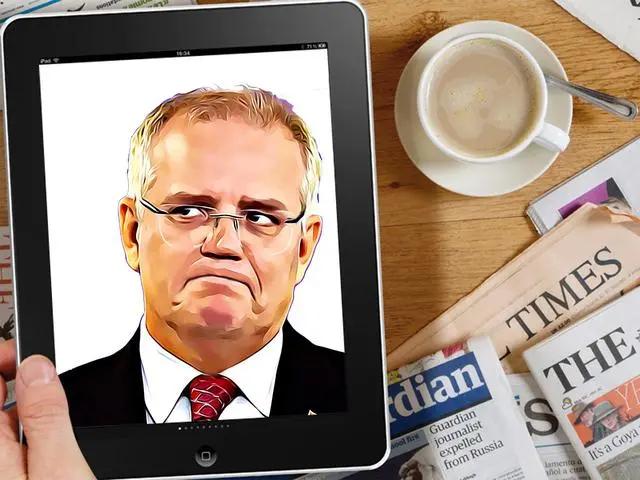 国内铁精粉最新价格获取指南及市场行情分析