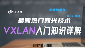 TYY6最新任务完成与学习技能详细步骤指南
