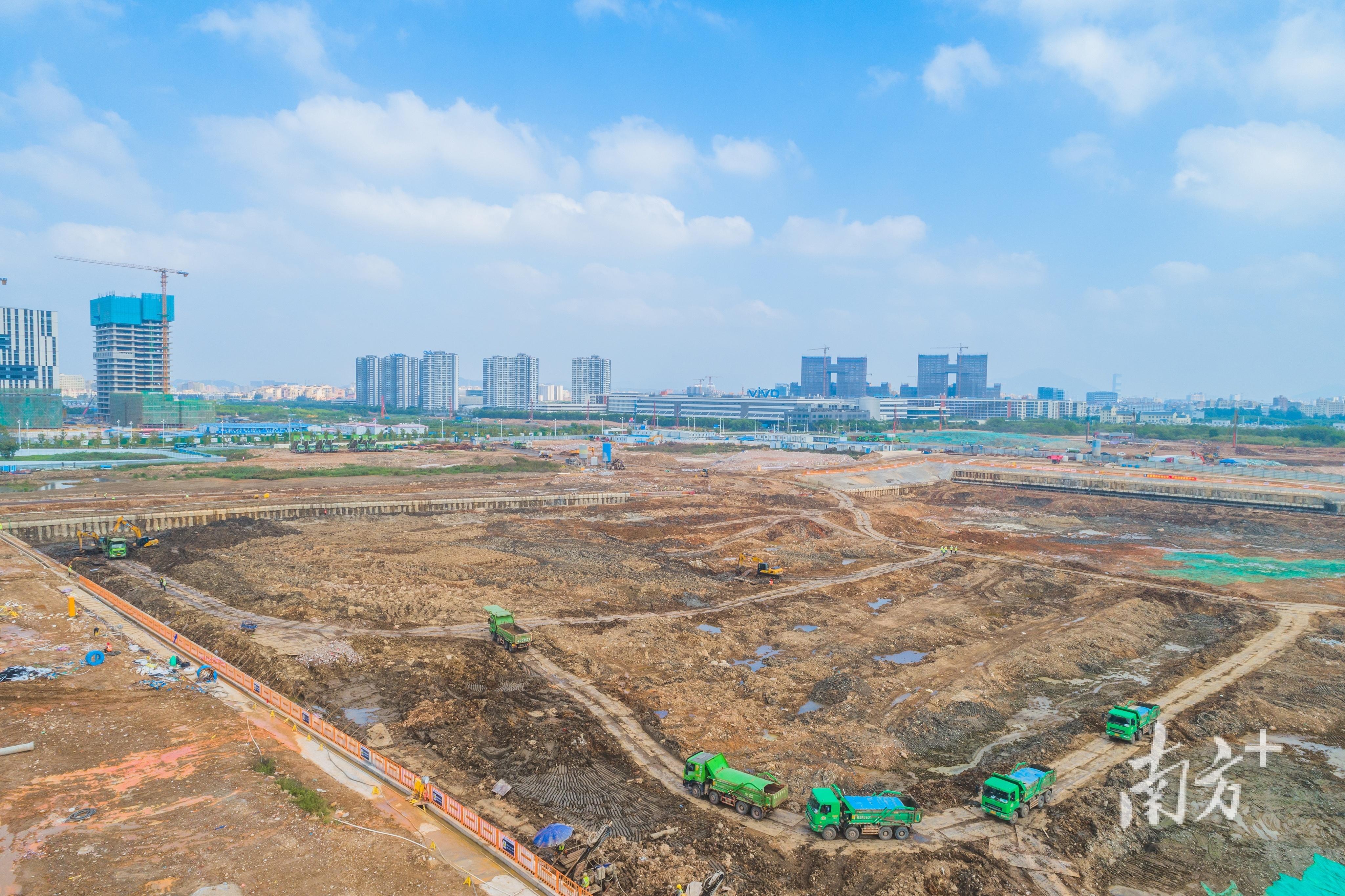 小天才最新代，铸就新时代的智慧之光典范