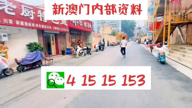 新2024年澳门天天开好彩,数据整合方案实施_精英款19.483-8