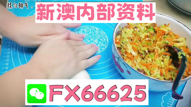 新澳门九点半开奖网址查询结果,动态词汇解析_高级版37.723-6