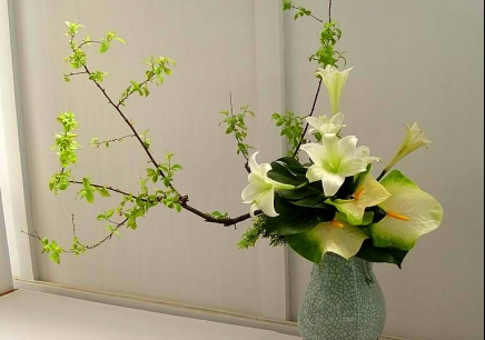 最新花艺培训论述，探索花艺艺术的深度与广度