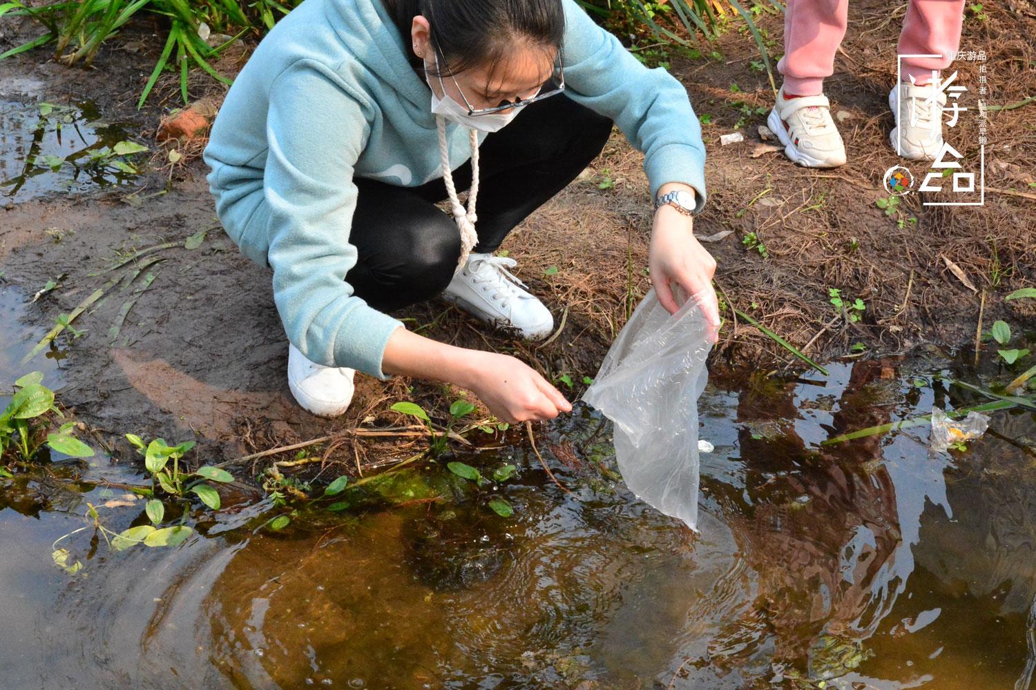 蝌蚪网最新视频,科技、文化与生活的交融盛会