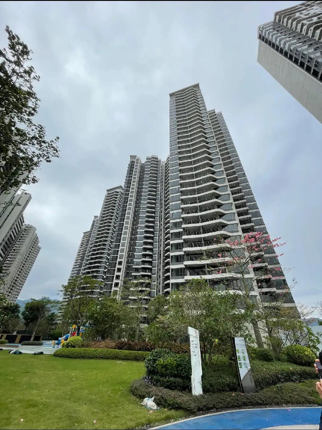 佛山最新楼市概况,背景与动态分析