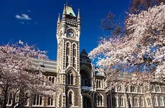 新西兰移民最新动态,科技重塑移民体验