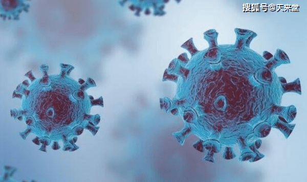 阜南最新新闻,拥抱自然,心灵宁静之旅