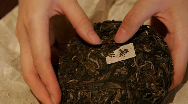 安吉最新新闻,初学者与进阶用户指南——获取与了解最新资讯全攻略