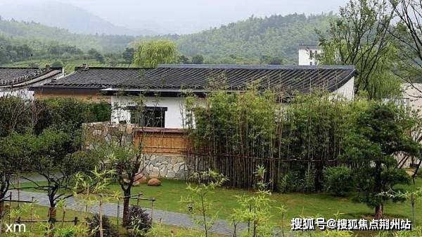 最新离婚率的社会现象深度解析
