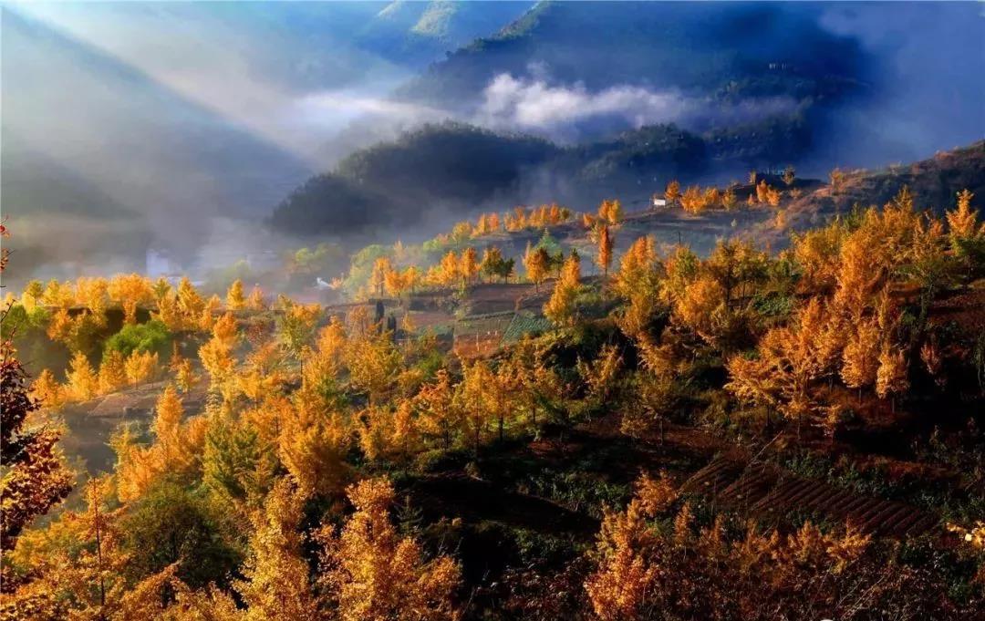 一站式城市服务平台 第445页