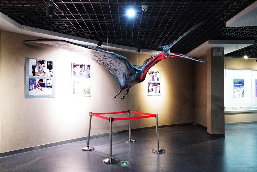 电子商务 第444页