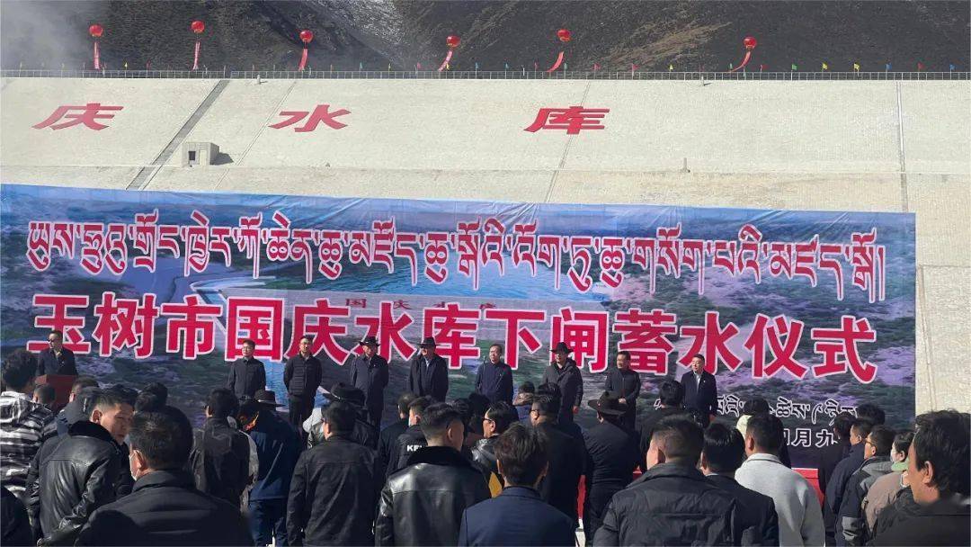 玉树最新新闻动态更新✨📢