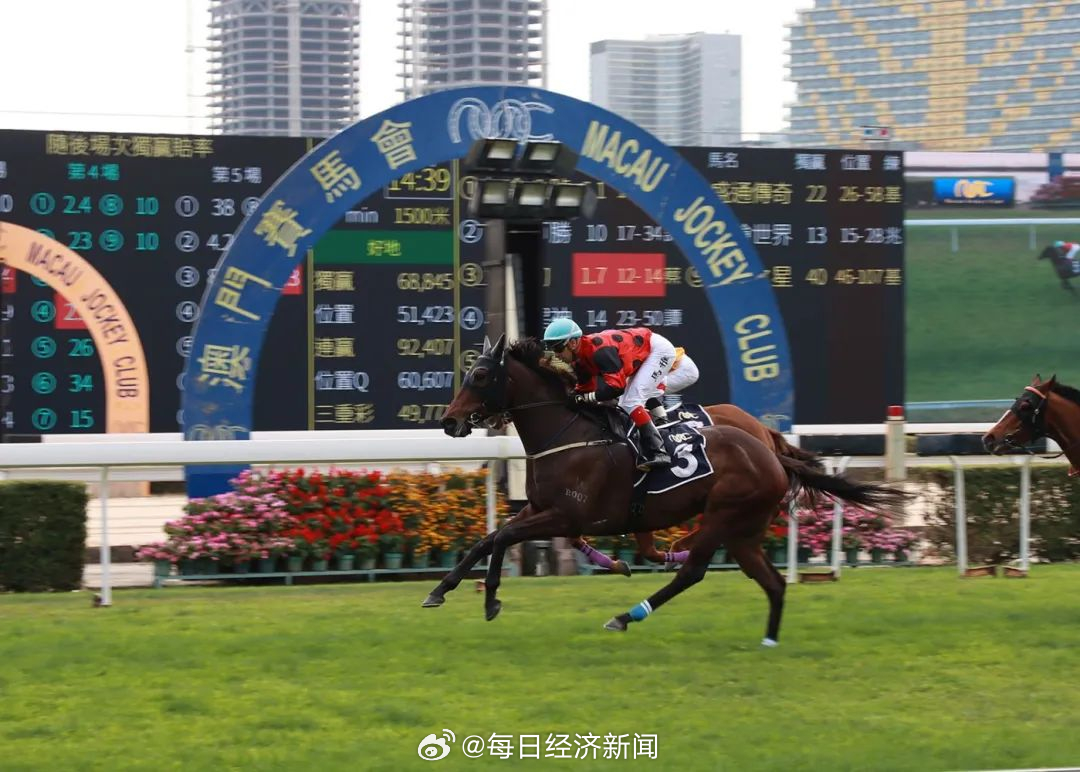 澳门开马场直播,全面实施策略设计_持久版5.824