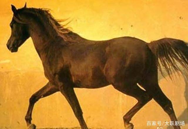 马会幺机三肖,,具象化表达解说_特供版89.246