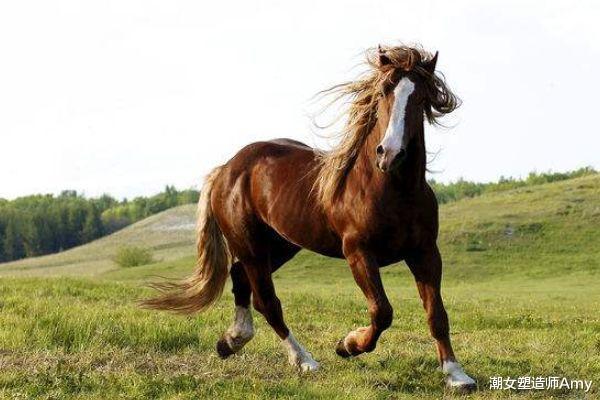 马会幺机三肖,,具象化表达解说_特供版89.246