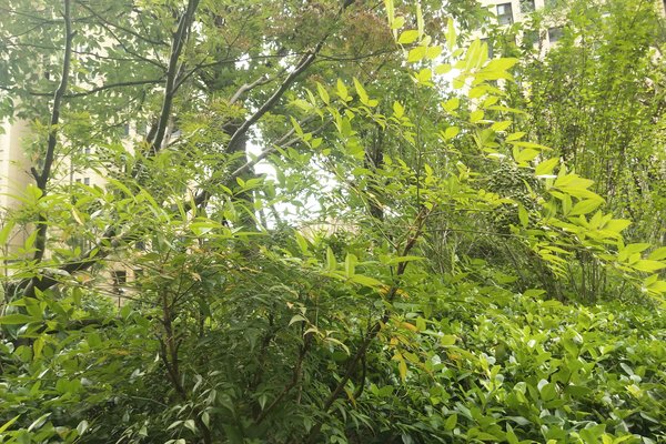 富阳山水悦府最新动态揭秘,自然美景探索之旅开启