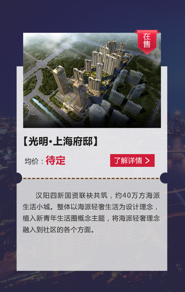 S2B2X电商体系 第424页