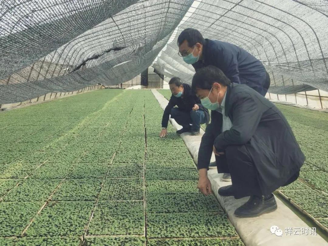 立垡村最新消息详解,获取途径及应用步骤指南