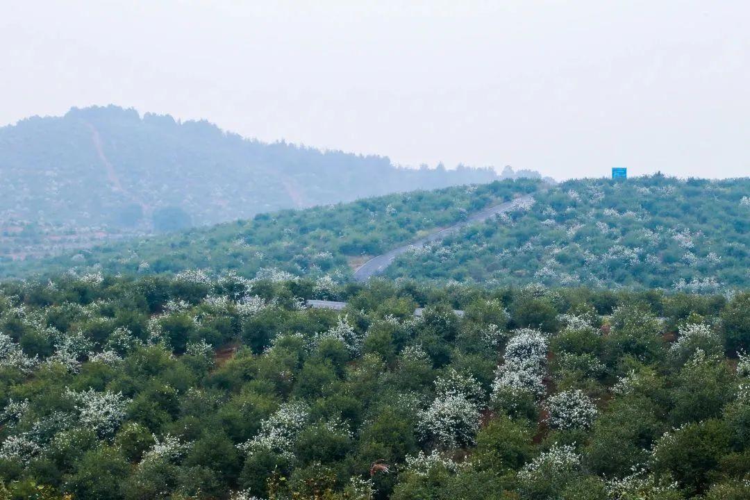 安徽水利股票最新动态,探索自然美景之旅,寻求内心平静之路