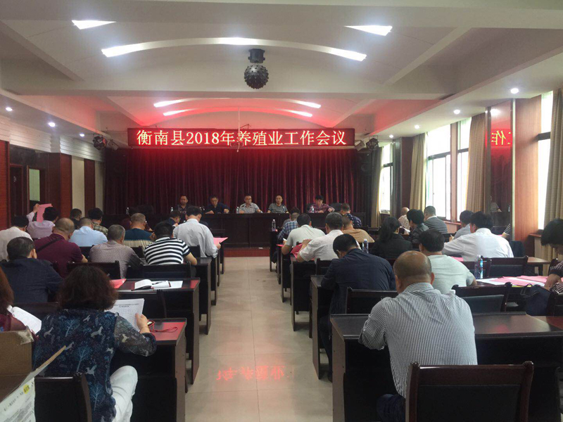 衡南县最新领导班子成员概览