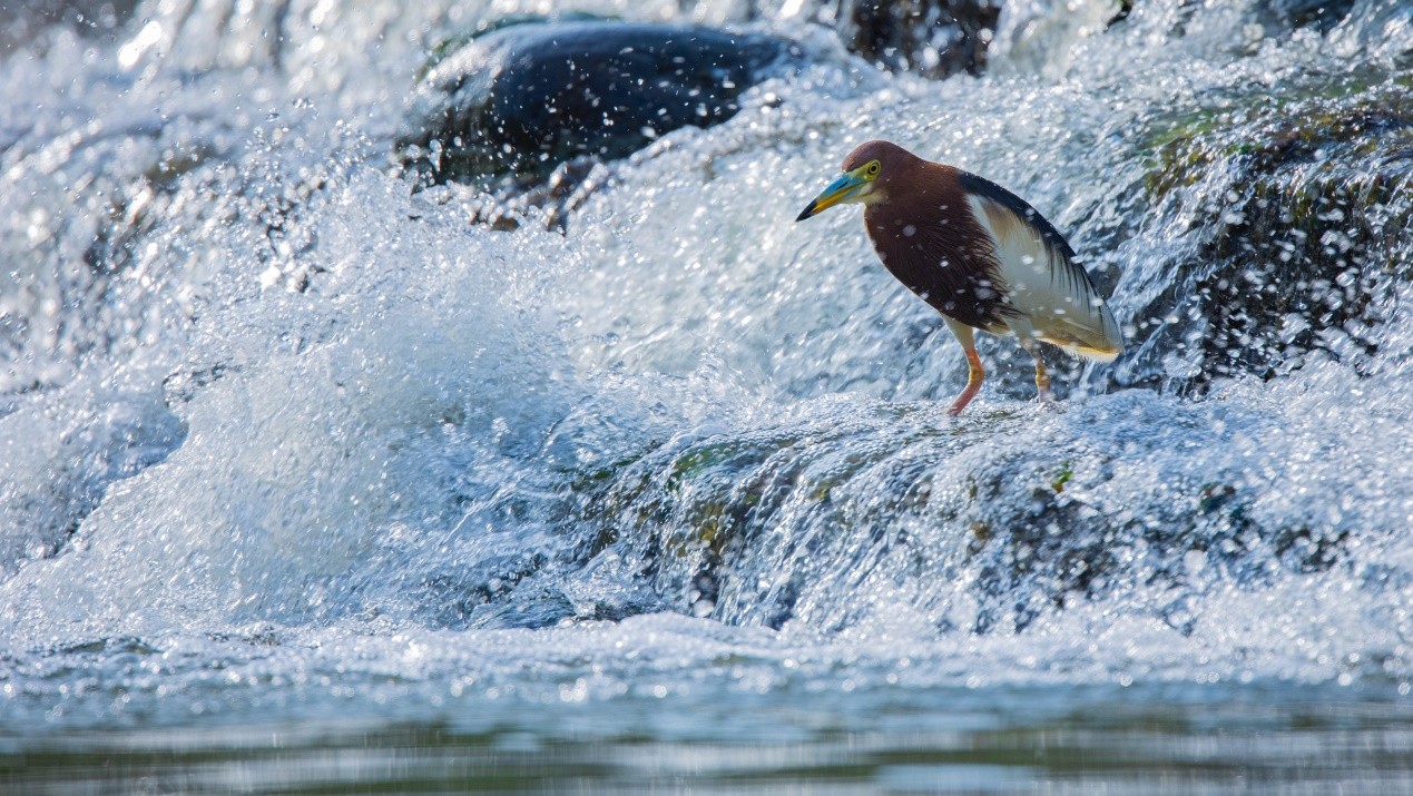 澳门一码一肖100%,供决策资料问题_儿童版33.451