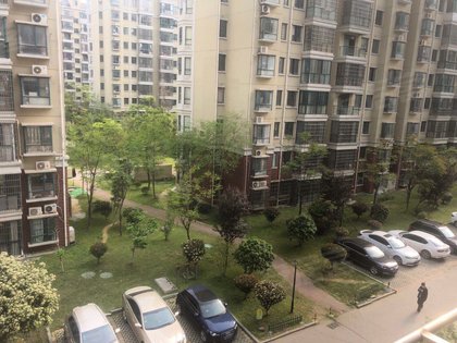 新力象湖湾最新动态揭秘,小巷深处的特色小店惊喜亮相!