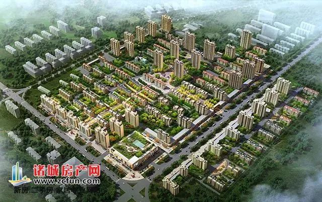 彩虹郡二期最新进展,家的温馨与友情的绽放时刻