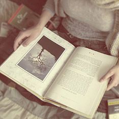 最新书籍出版查询网,小巷中的秘密读书殿堂揭秘