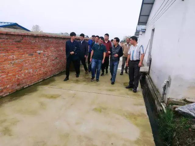 高效环保能源解决方案,最新沼气池设计图揭秘