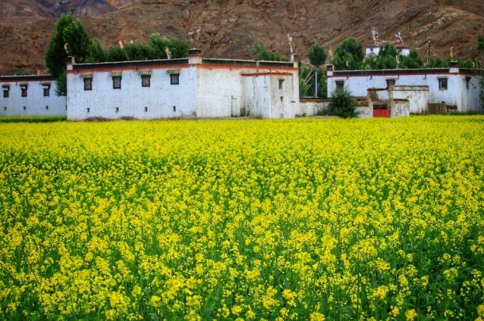 安县花街最新招工信息及自然美景探索之旅邀请