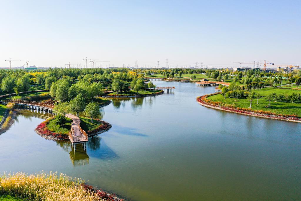 天津生态城绿色梦想实现,成长中的生态变革新篇章