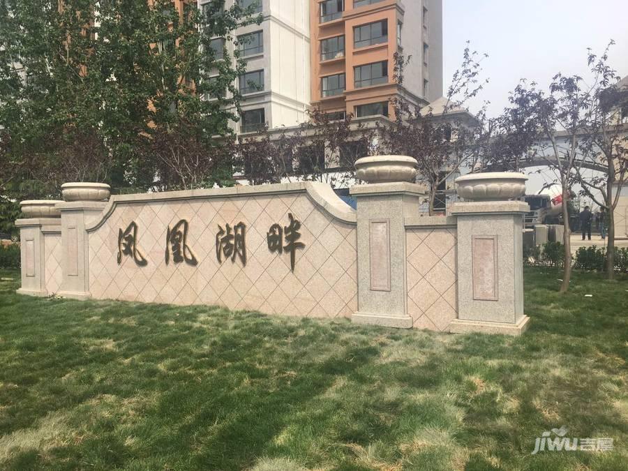 唐山凤凰湖畔最新动态揭秘