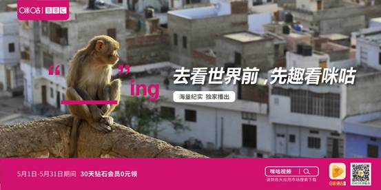 河南小巷深处的感人故事,特色小店里的心灵触动视频