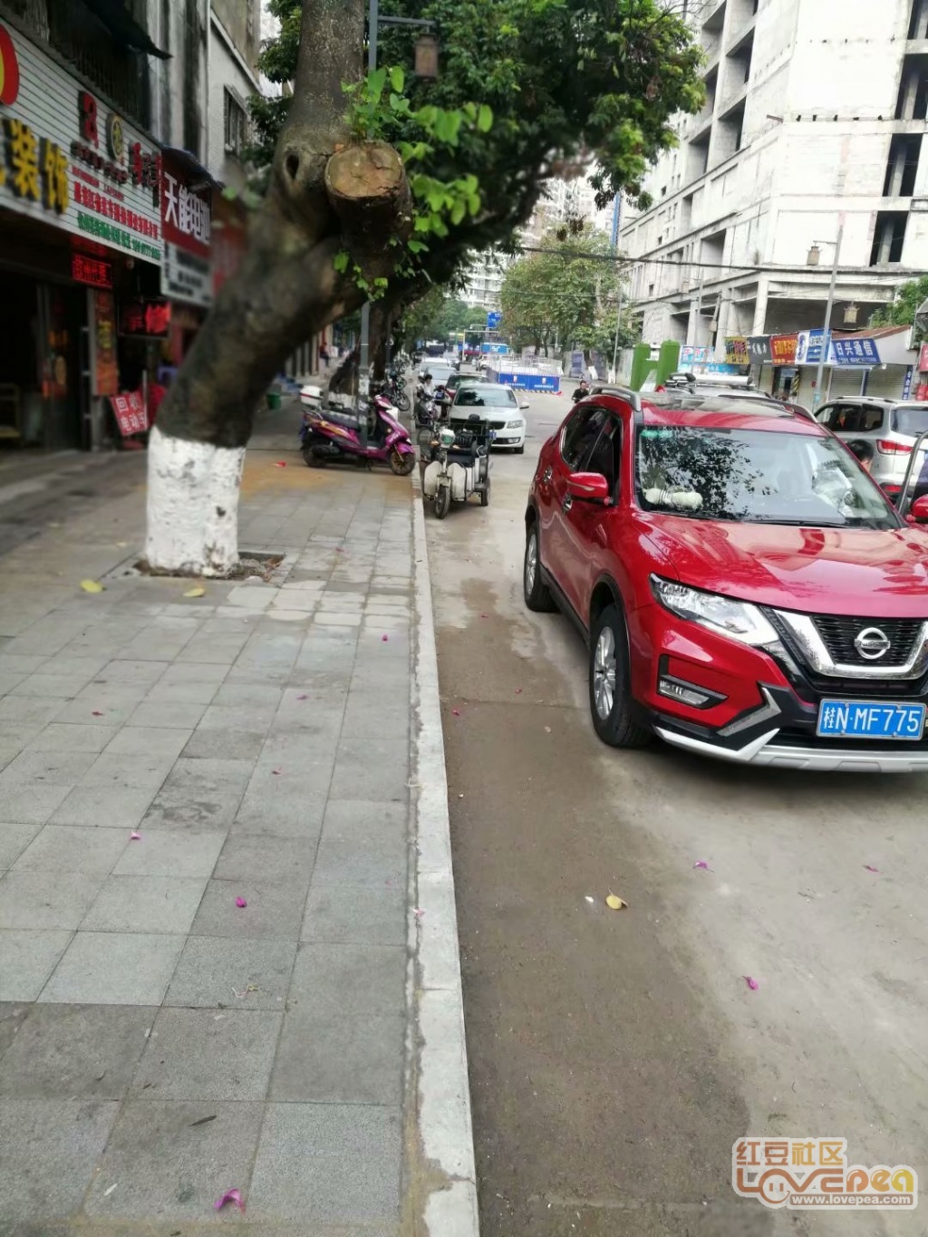 新澳门一码一码100准确,实地应用实践解读_快速版73.315