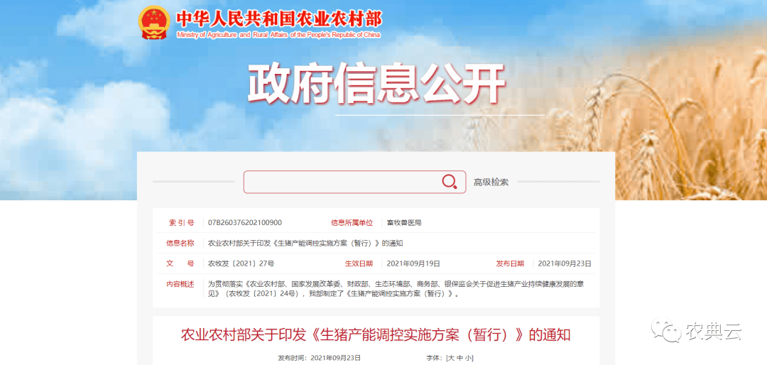 新澳门内部一码精准公开,稳固执行方案计划_实验版9.740