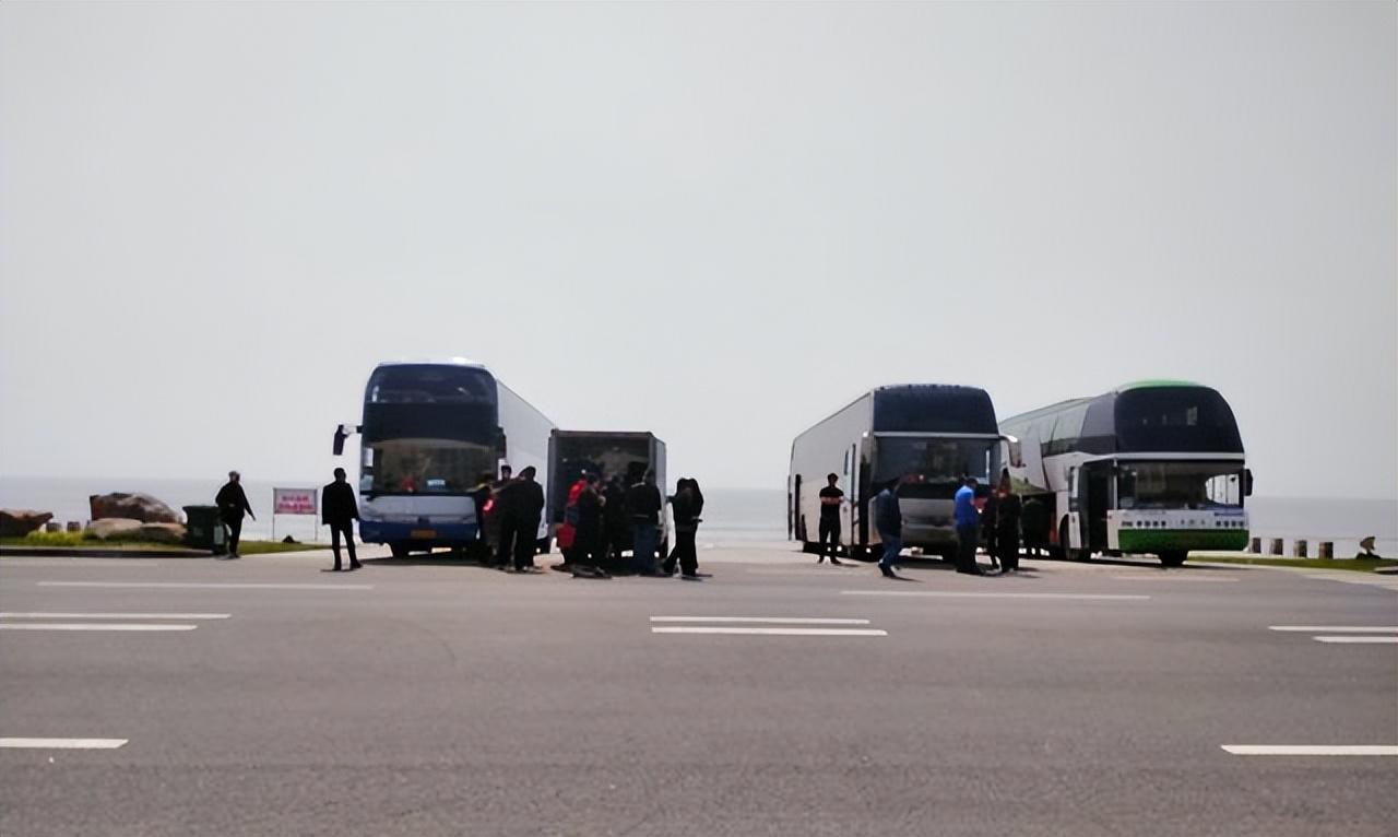 鹤岗幼儿园最新招聘日常趣事概览