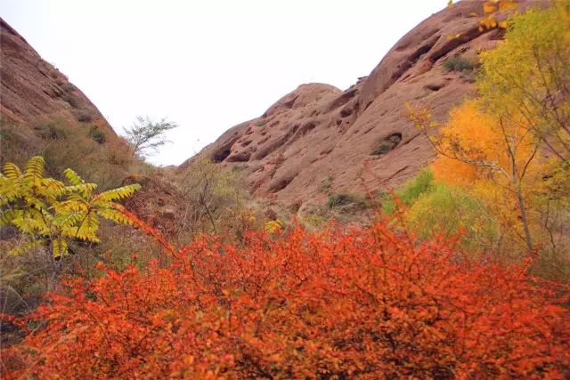 铜川新区最新动态,探索自然美景,寻觅内心平和绿洲的旅行新闻